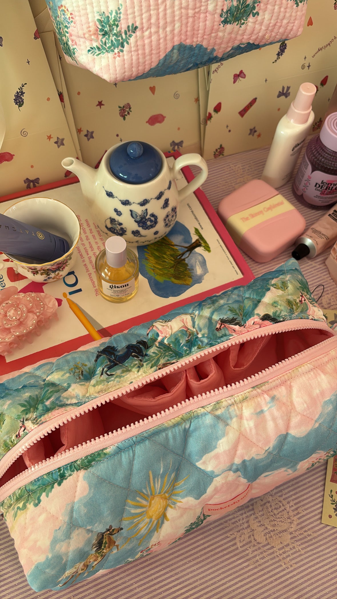 Fancy Nancy Dyson pouch