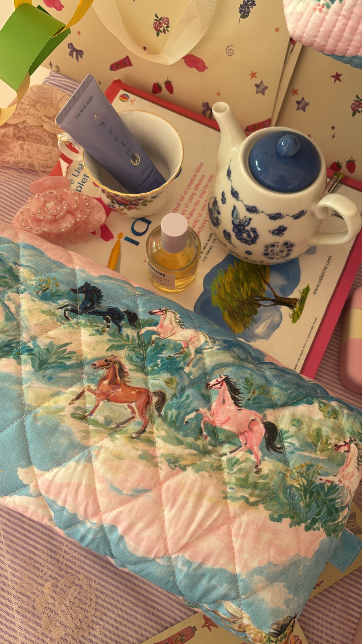 Fancy Nancy Dyson pouch