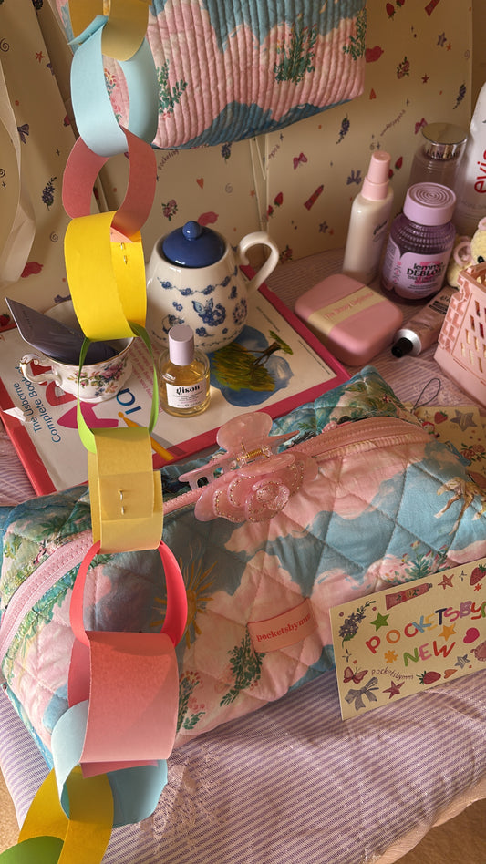 Fancy Nancy Dyson pouch